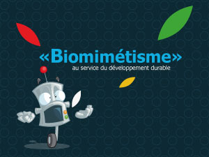 « Biomimétisme » au service du développement durable