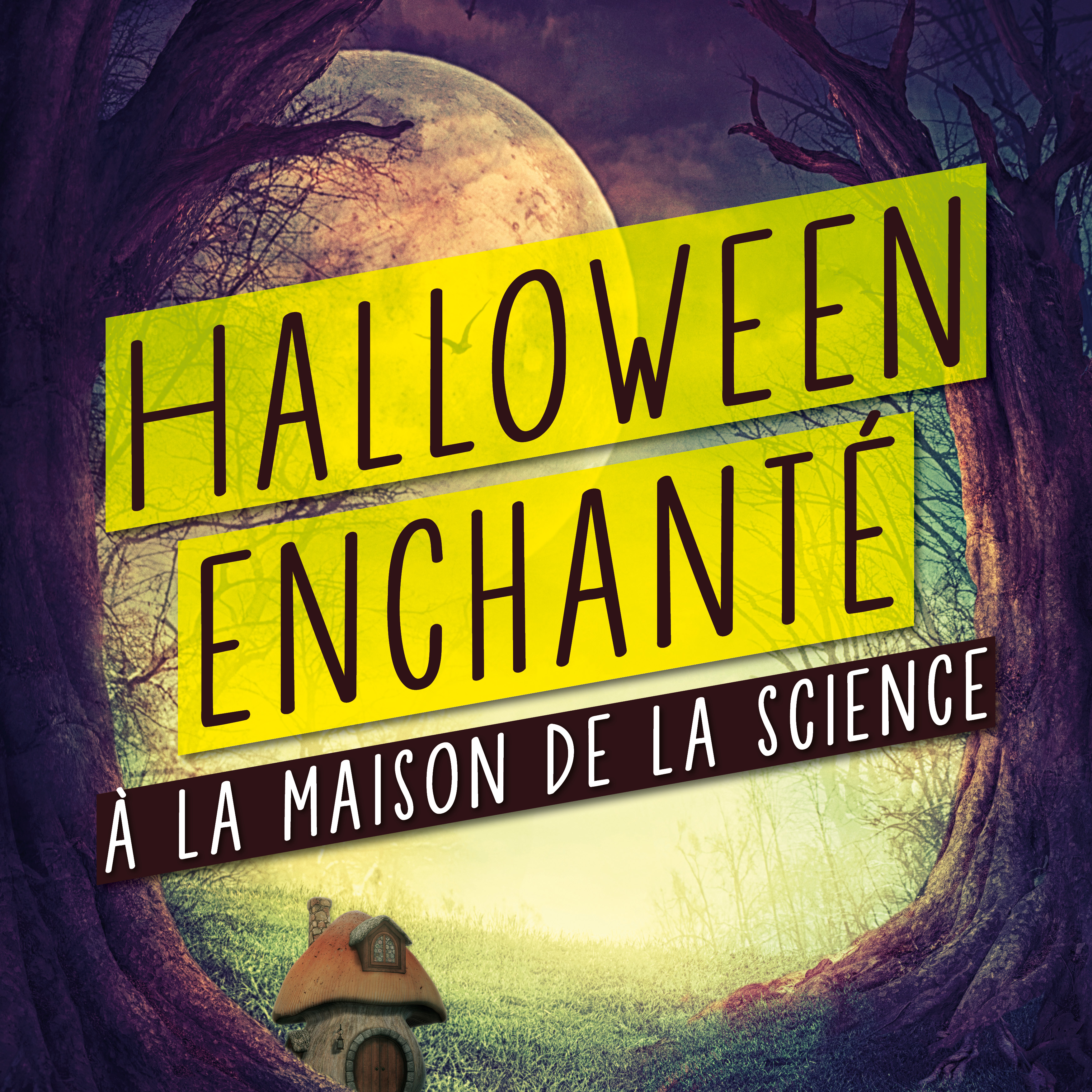 Halloween enchanté à la Maison de la Science